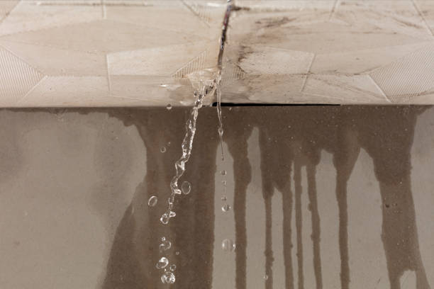 Professional Sewage Cleanup technician working in Naples, FL